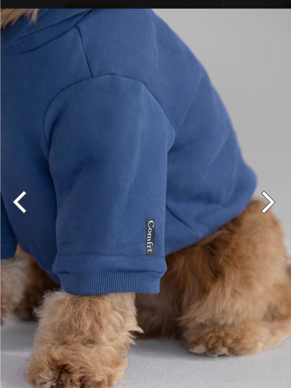 Blue Dog Hoodie Sweatshirt - Comfortable Pullover for Pets - Comfrt Size Large - Picture 4 of 11